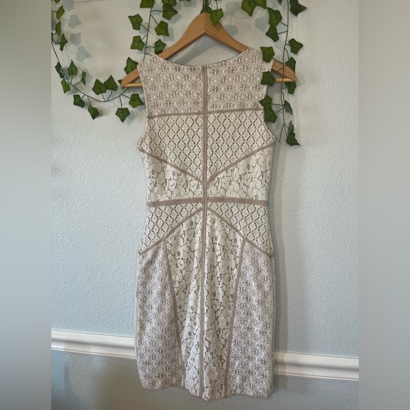 Maggy London fitted Ivory Lace Dress with Beige Piping Shift - Picture 2 of 4